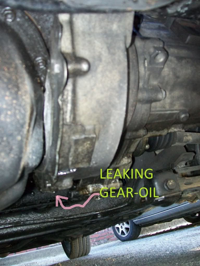 Gearoil Leak Again, From Another Angle. Photo by opieloke Photobucket
